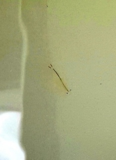 20150621_122931-1.jpg