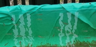20150626_071328-1.jpg
