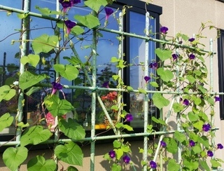 20150729_071210.jpg