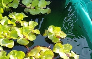 20150729_071227-1.jpg